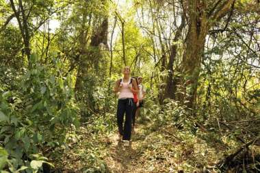 Paseos por las yungas